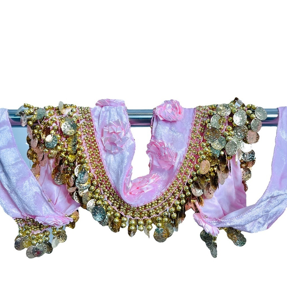 Belly Dance Skirt with Gold Coins and Rose Petals - Picture 4 of 8